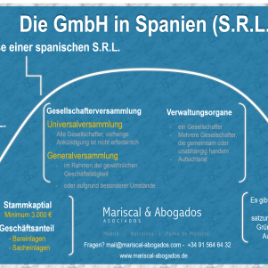 Praxiskommentar zur Gesellschaft mit beschränkter Haftung in Spanien