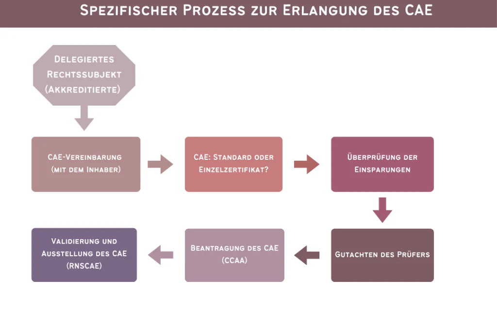 6 2024 Erlangung CAE Spanien