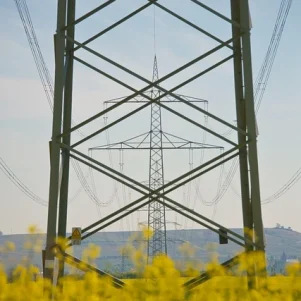 Das System der Energiesparzertifikate (CAE) in Spanien: Ursprünge, Akteure und Verfahren